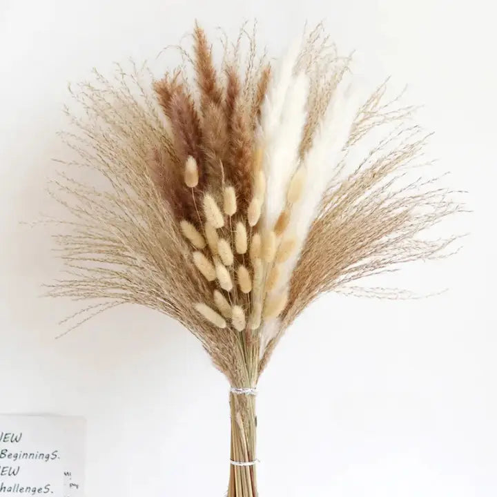 Bouquet fleurs séchées pampa