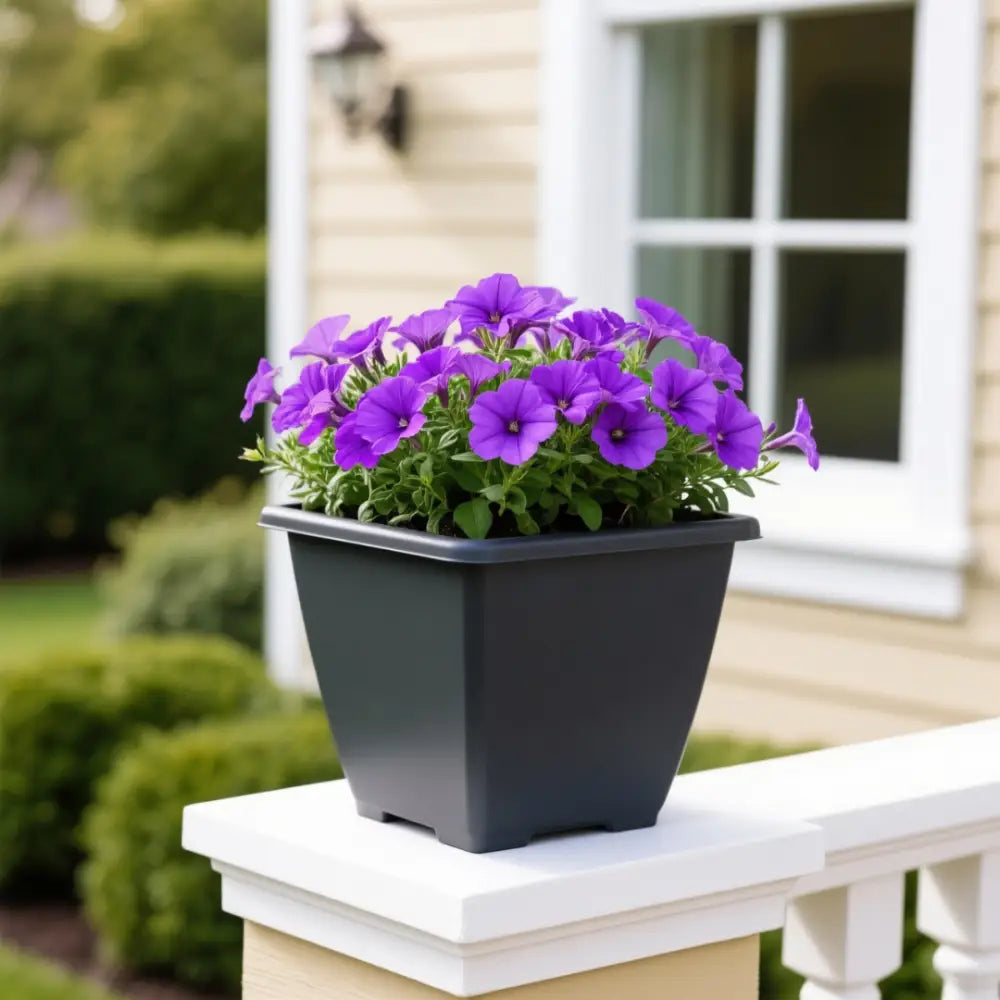 Gros pot de fleur carré