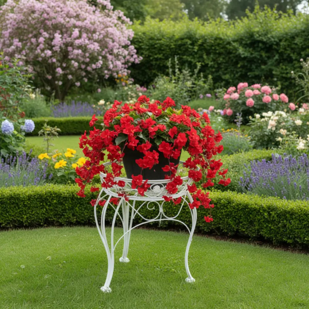 Porte plante en fer forgé ancien