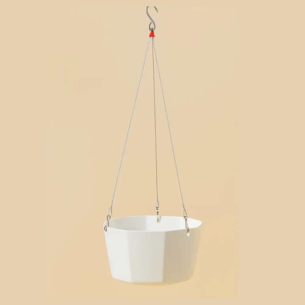 Pot de fleur suspendu couleur