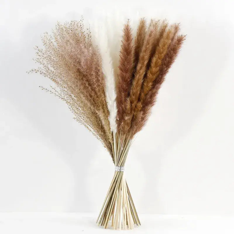 Bouquet fleurs séchées pampa