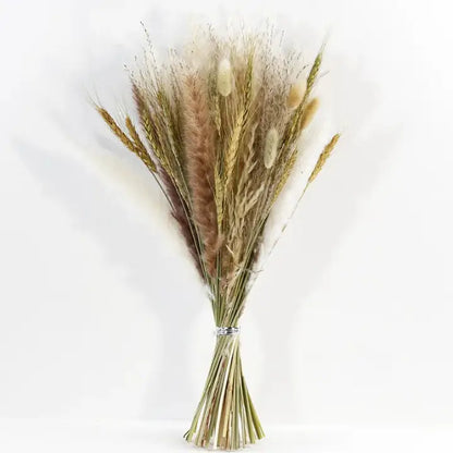 Bouquet fleurs séchées pampa