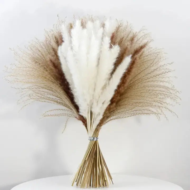 Bouquet fleurs séchées pampa