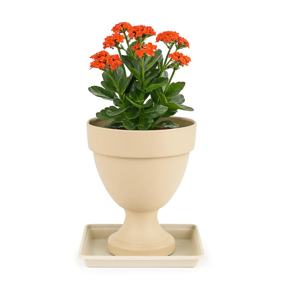 Coupelle carrée pour pot de fleur