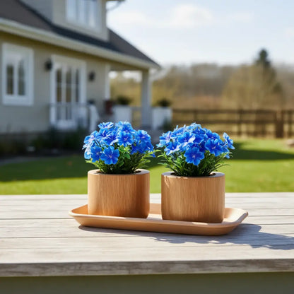 Coupelle rectangulaire pot de fleur