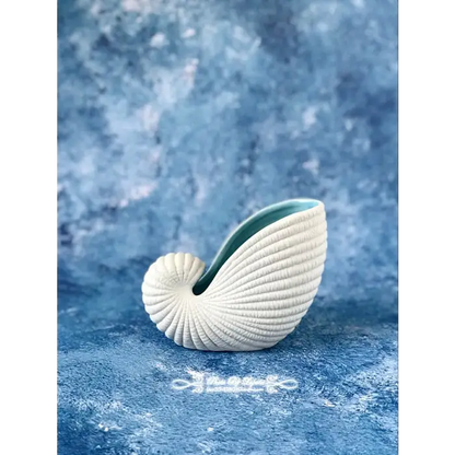 Deco vase coquillage