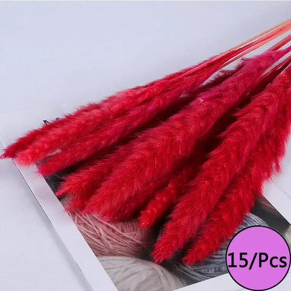 Fleurs séchées colorées