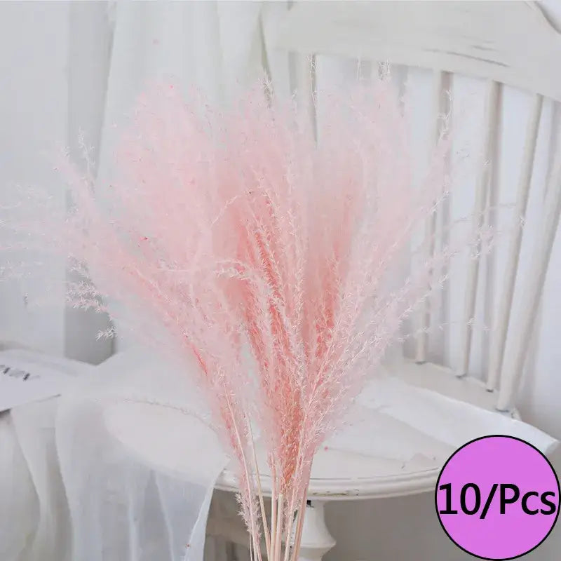 Fleurs séchées colorées