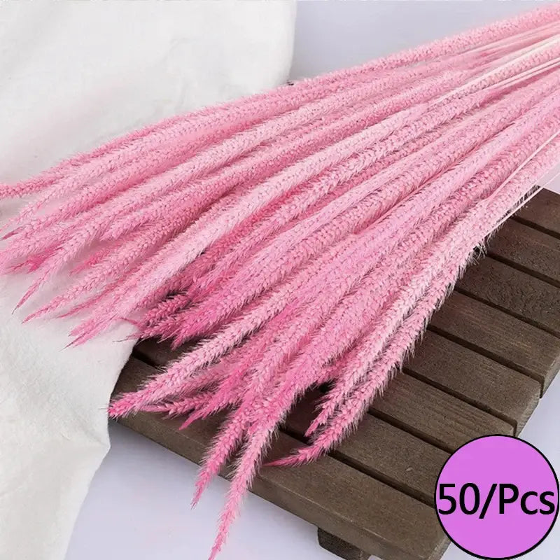 Fleurs séchées colorées