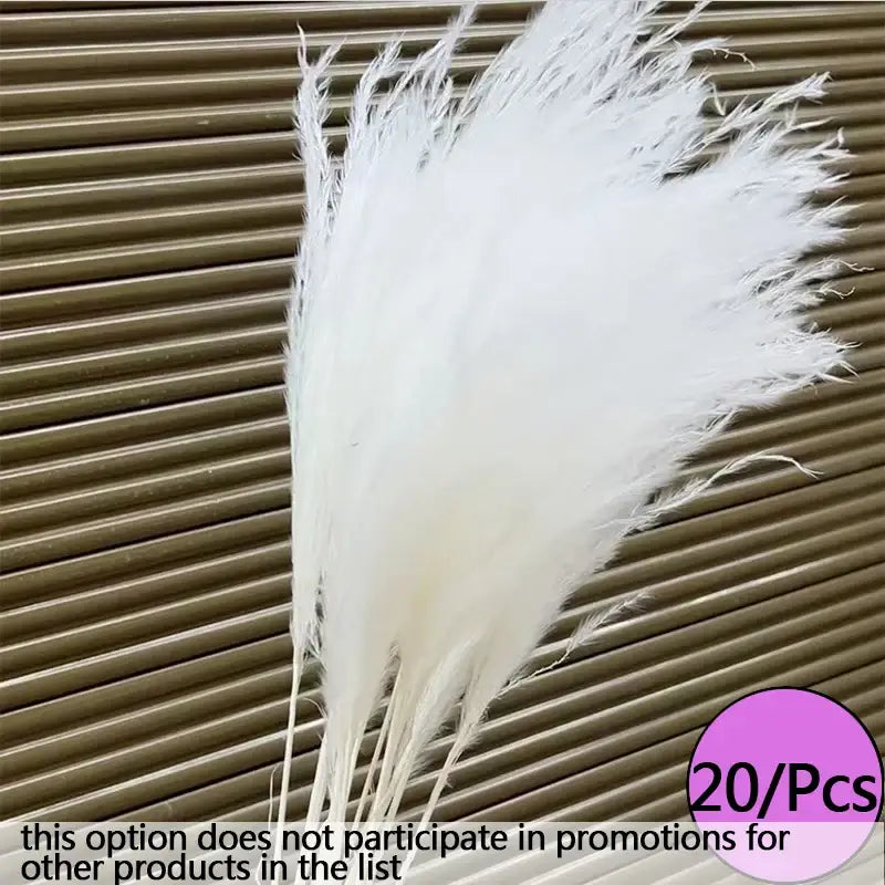 Fleurs séchées colorées