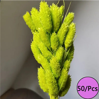 Fleurs séchées colorées