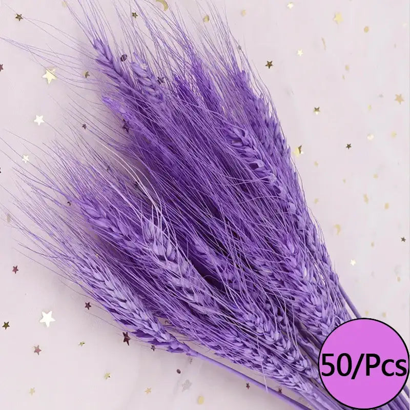 Fleurs séchées colorées