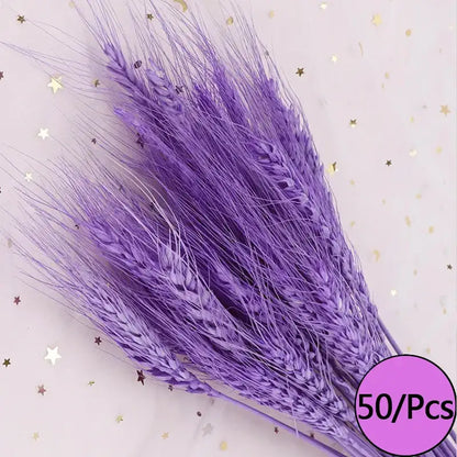 Fleurs séchées colorées