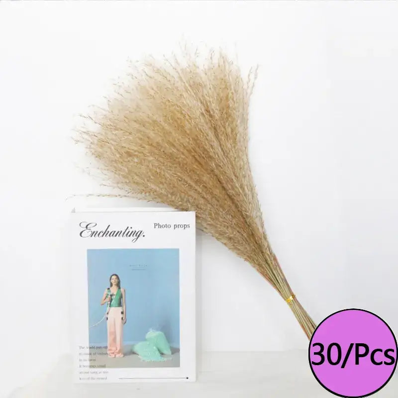 Fleurs séchées colorées