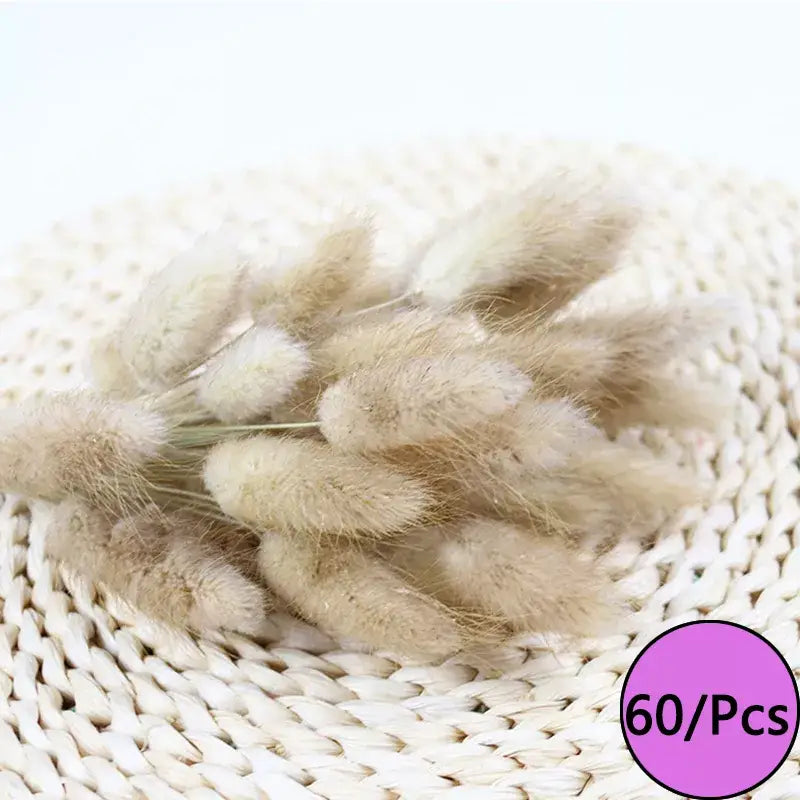 Fleurs séchées colorées