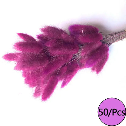 Fleurs séchées colorées