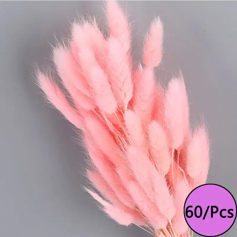 Fleurs séchées colorées