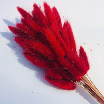 Fleurs séchées colorées