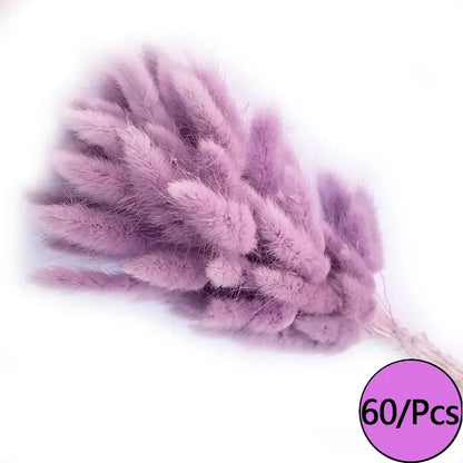 Fleurs séchées colorées