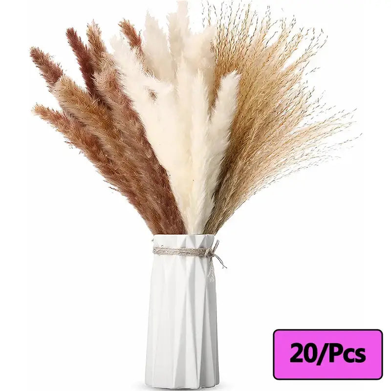 Fleurs séchées naturelles