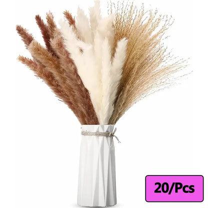 Fleurs séchées naturelles