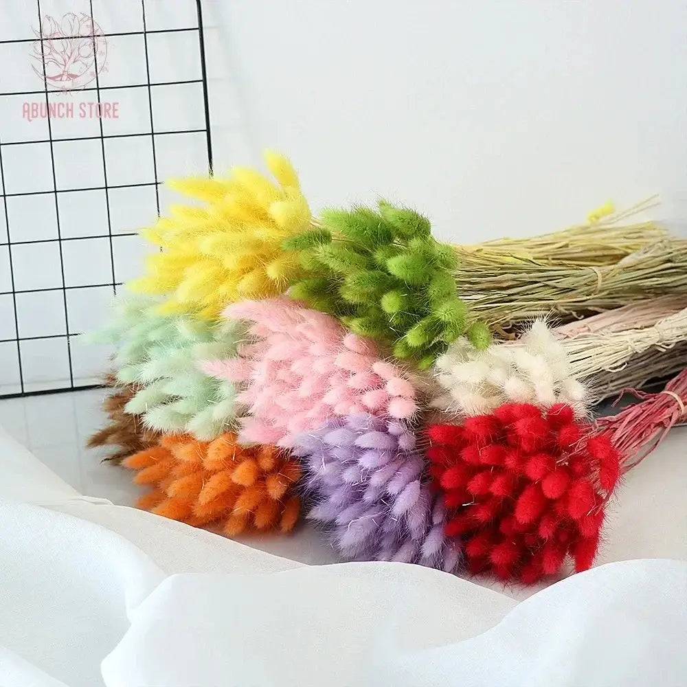 Fleurs séchées pas cher