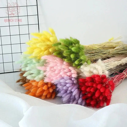 Fleurs séchées pas cher