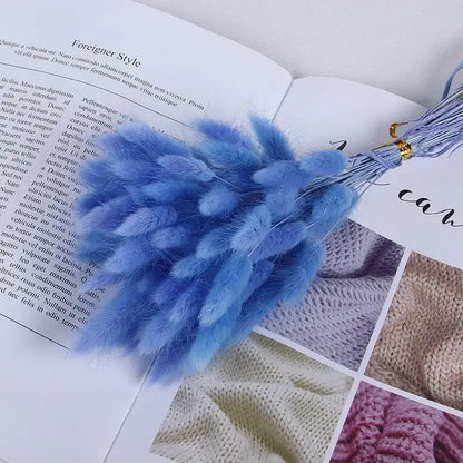 Fleurs séchées pas cher