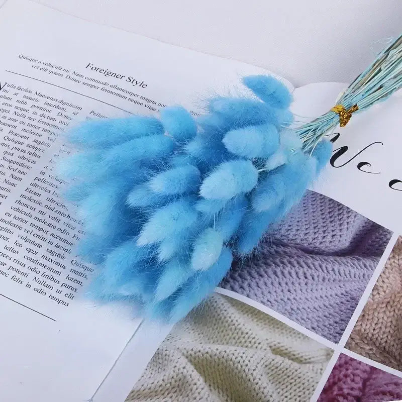 Fleurs séchées pas cher