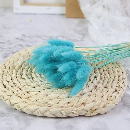 Fleurs séchées pas cher