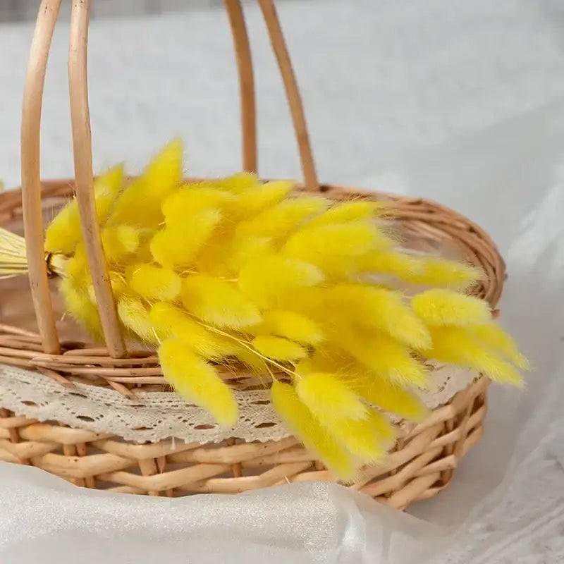 Fleurs séchées pas cher