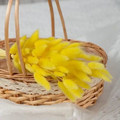 Fleurs séchées pas cher