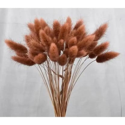 Fleurs séchées pas cher