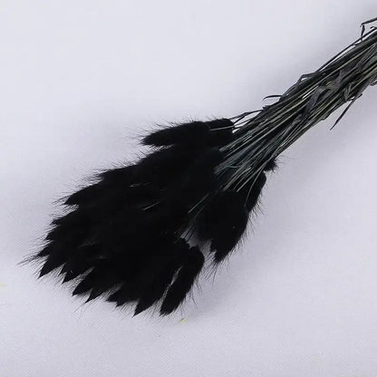 Fleurs séchées pas cher