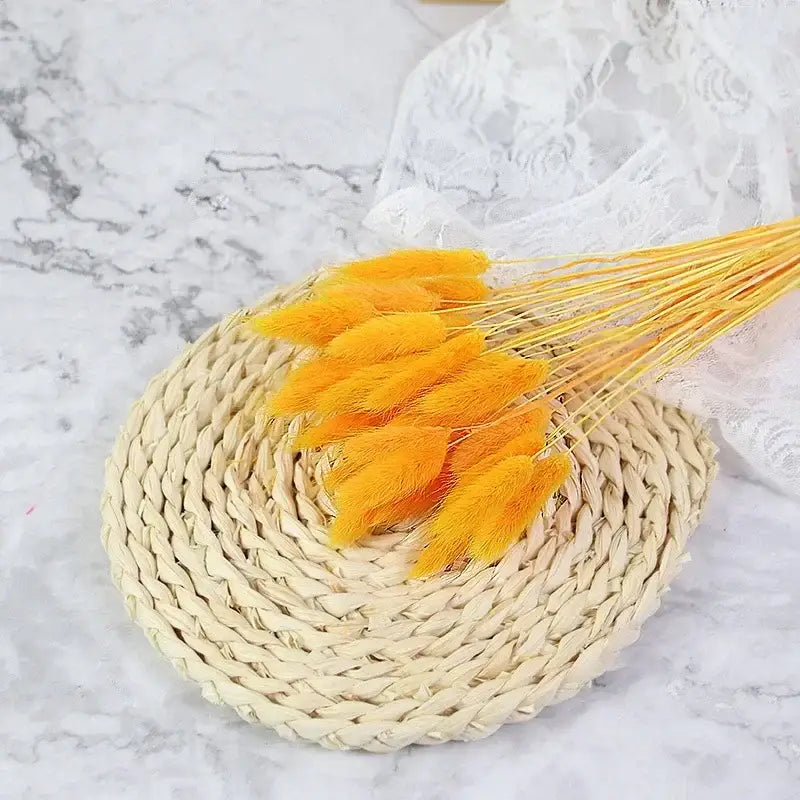 Fleurs séchées pas cher