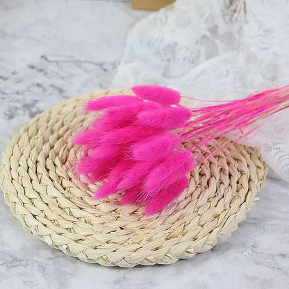 Fleurs séchées pas cher