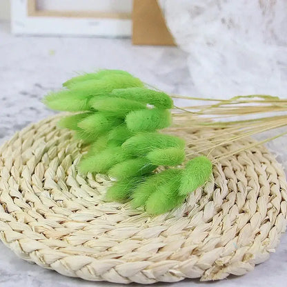 Fleurs séchées pas cher