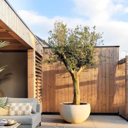 Grand pot de fleur 80 cm