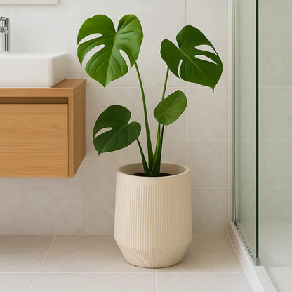 Grand pot de fleur beige