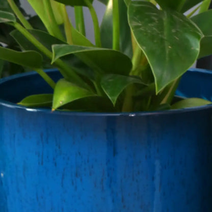 Grand pot de fleur bleu canard