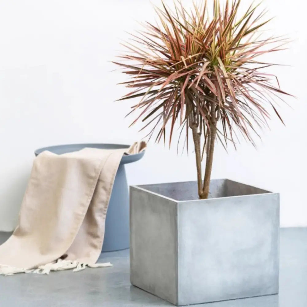 Grand pot de fleur carré