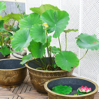 Grand pot de fleur diamètre 80 cm