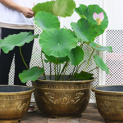 Grand pot de fleur diamètre 80 cm