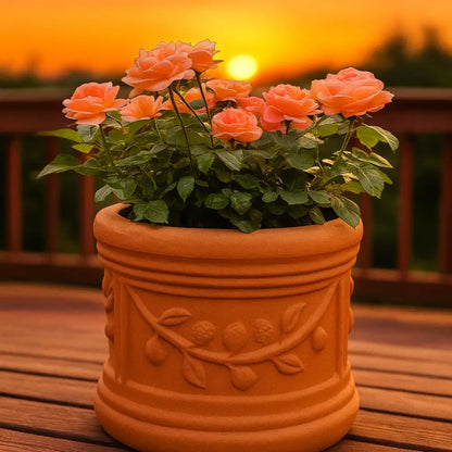 Grand pot de fleur extérieur en terre cuite