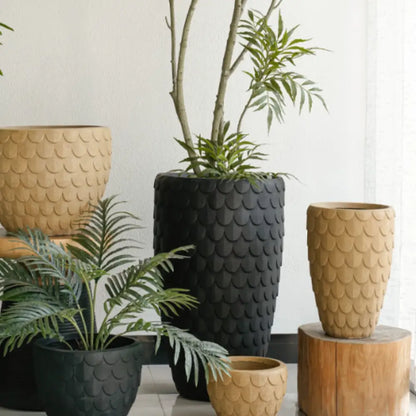 Grand pot de fleur intérieur noir