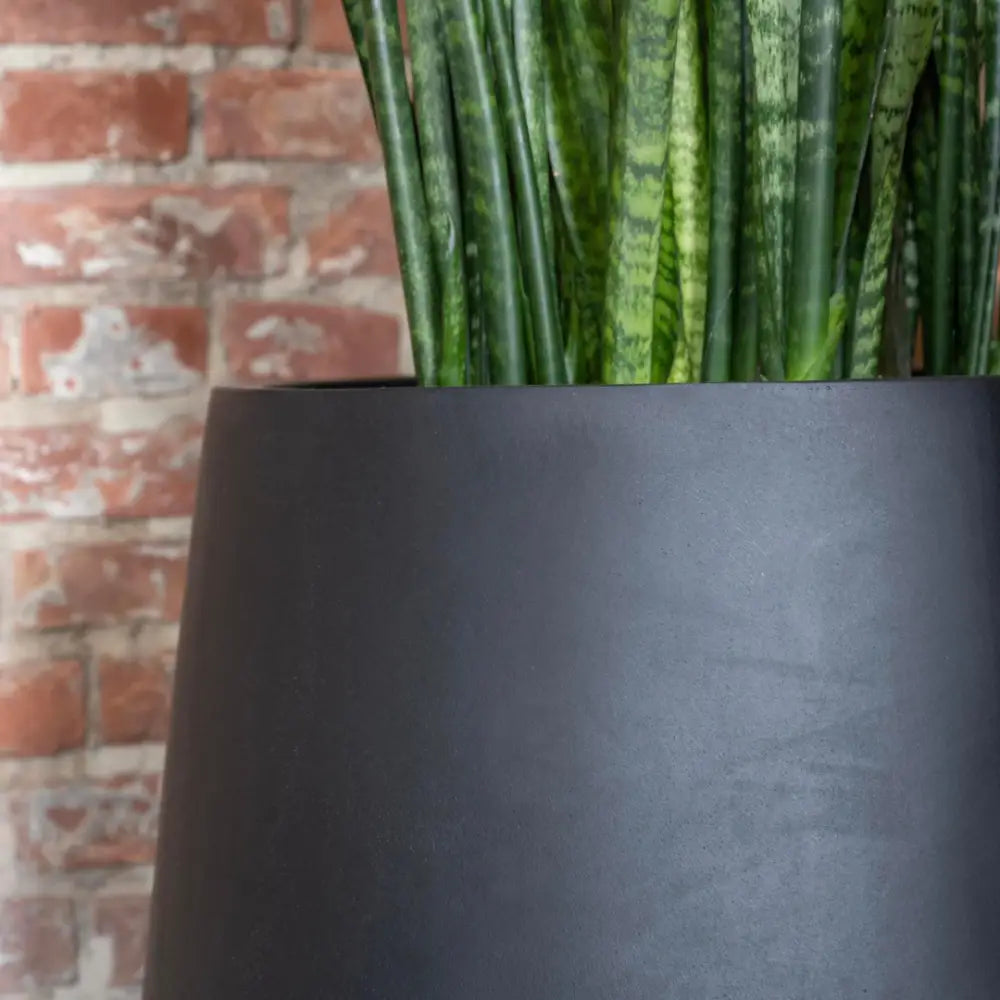 Grand pot de fleur noir extérieur