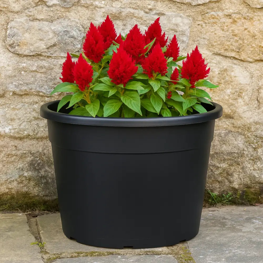 Grand pot de fleur plastique