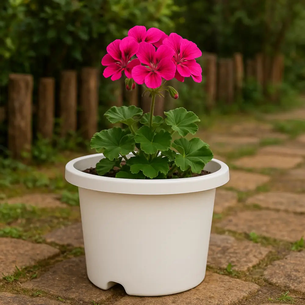 Grand pot de fleur plastique blanc