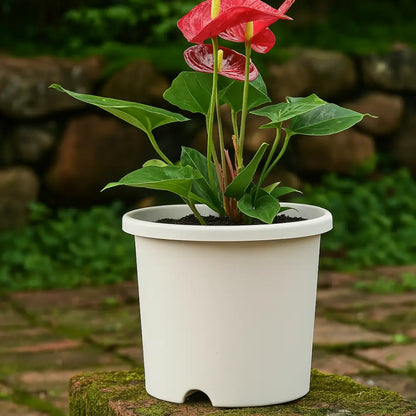 Grand pot de fleur plastique blanc