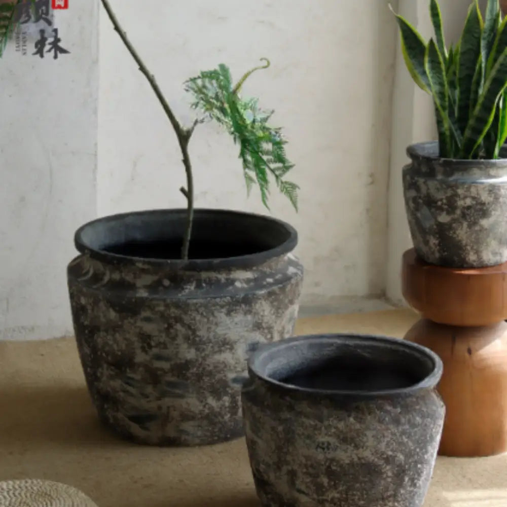 Grand pot de fleur pour arbre